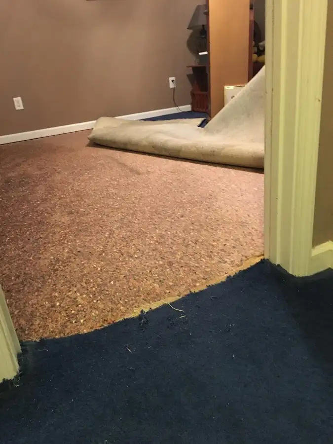 Carpet pad removal revealing water damage during Water Mitigation Services in Northfield